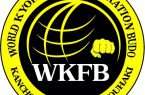 اهواز میزبان مسابقات و سمینار بین المللی کیوکوشین کاراته wkfb خواهد بود.